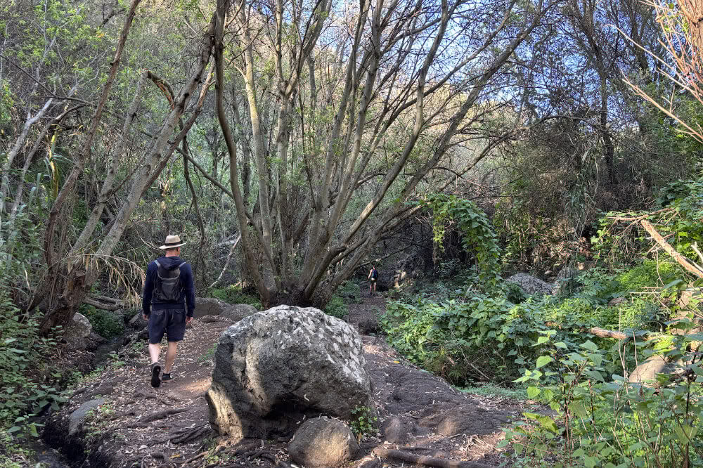 Paddleboarding (SUP) y retiro de yoga en Gran Canaria
