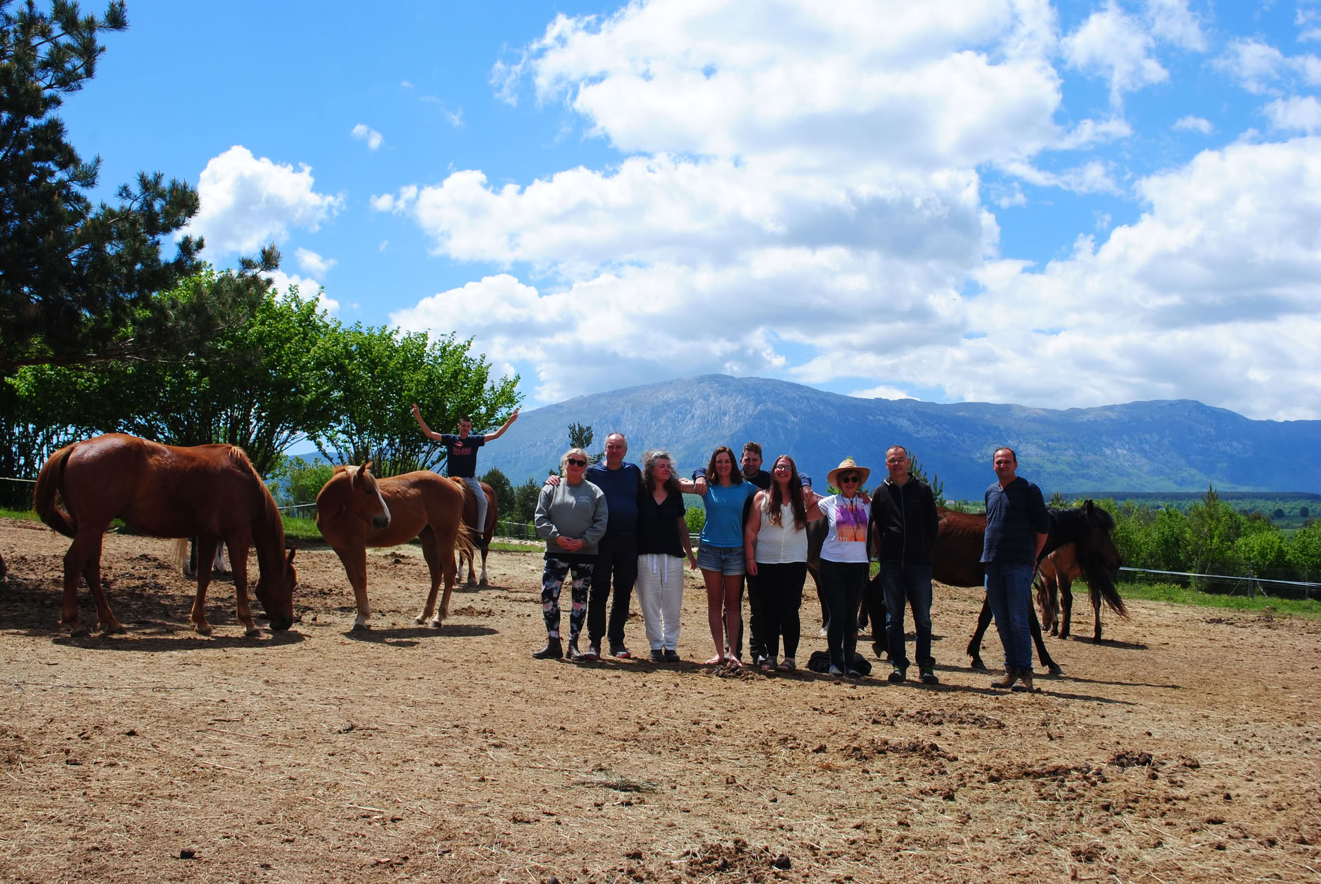 Medita con caballos