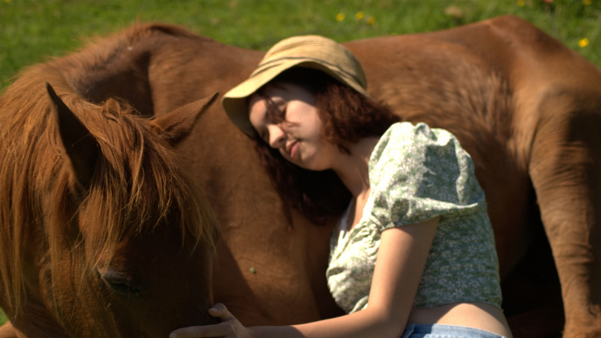 Curación a caballo | Bosnia 18 - 23 de octubre