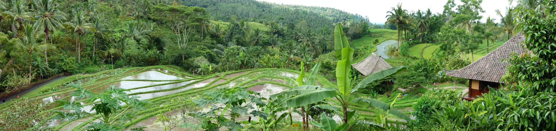 Oferta única en Bali