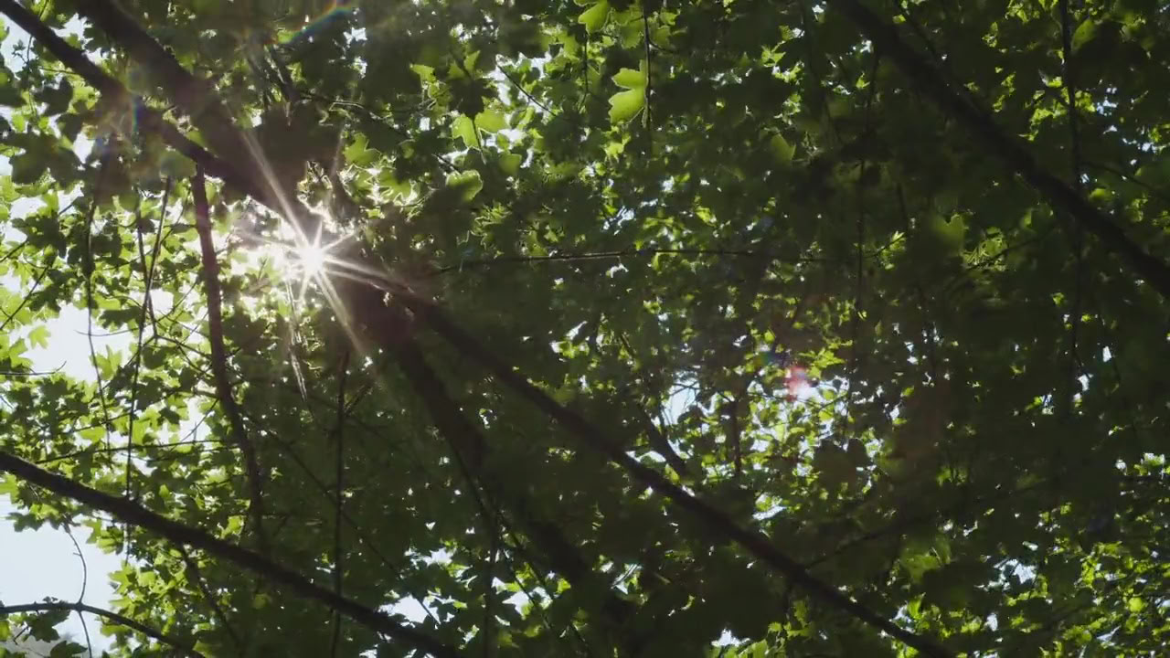 Respira y comienza