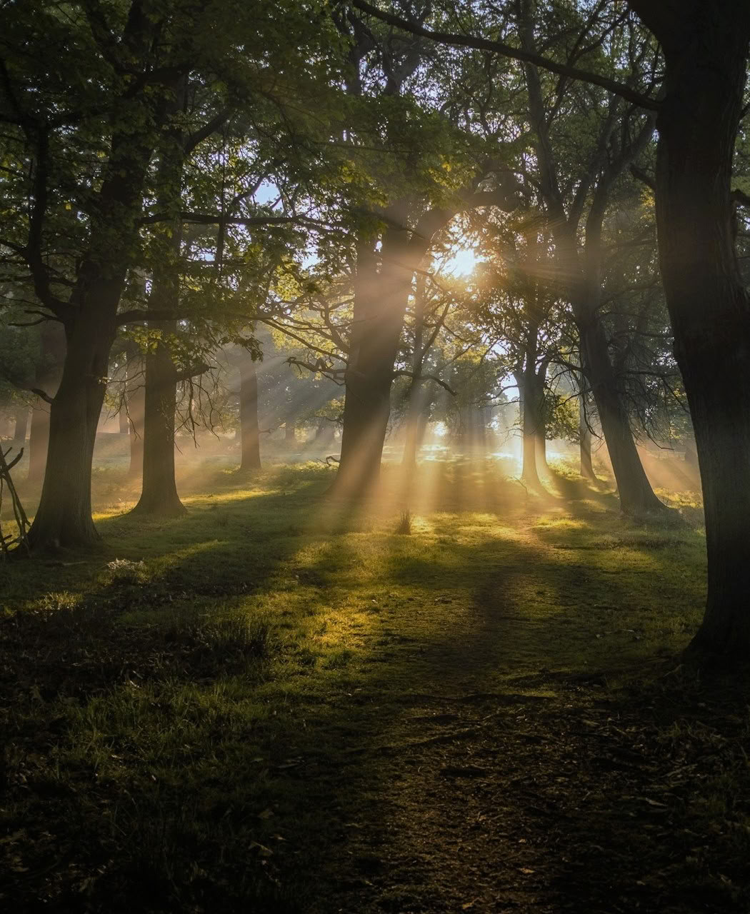 Respira y comienza