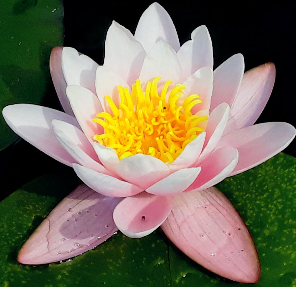 Meditación con facilidad – Un retiro de silencio de atención plena