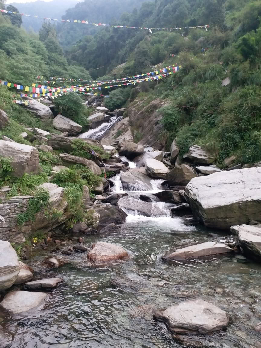 Formación de Profesores de Yoga de 200 Horas en Dharamsala