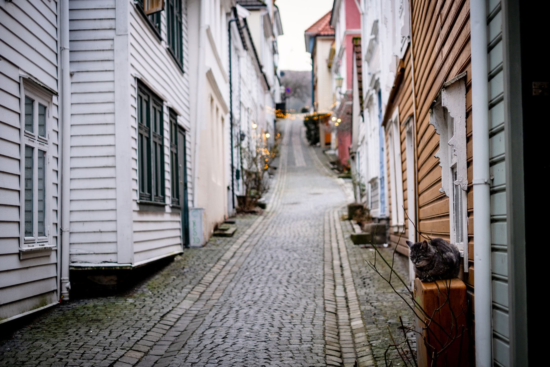 Noruega Yoga & Backpacking
