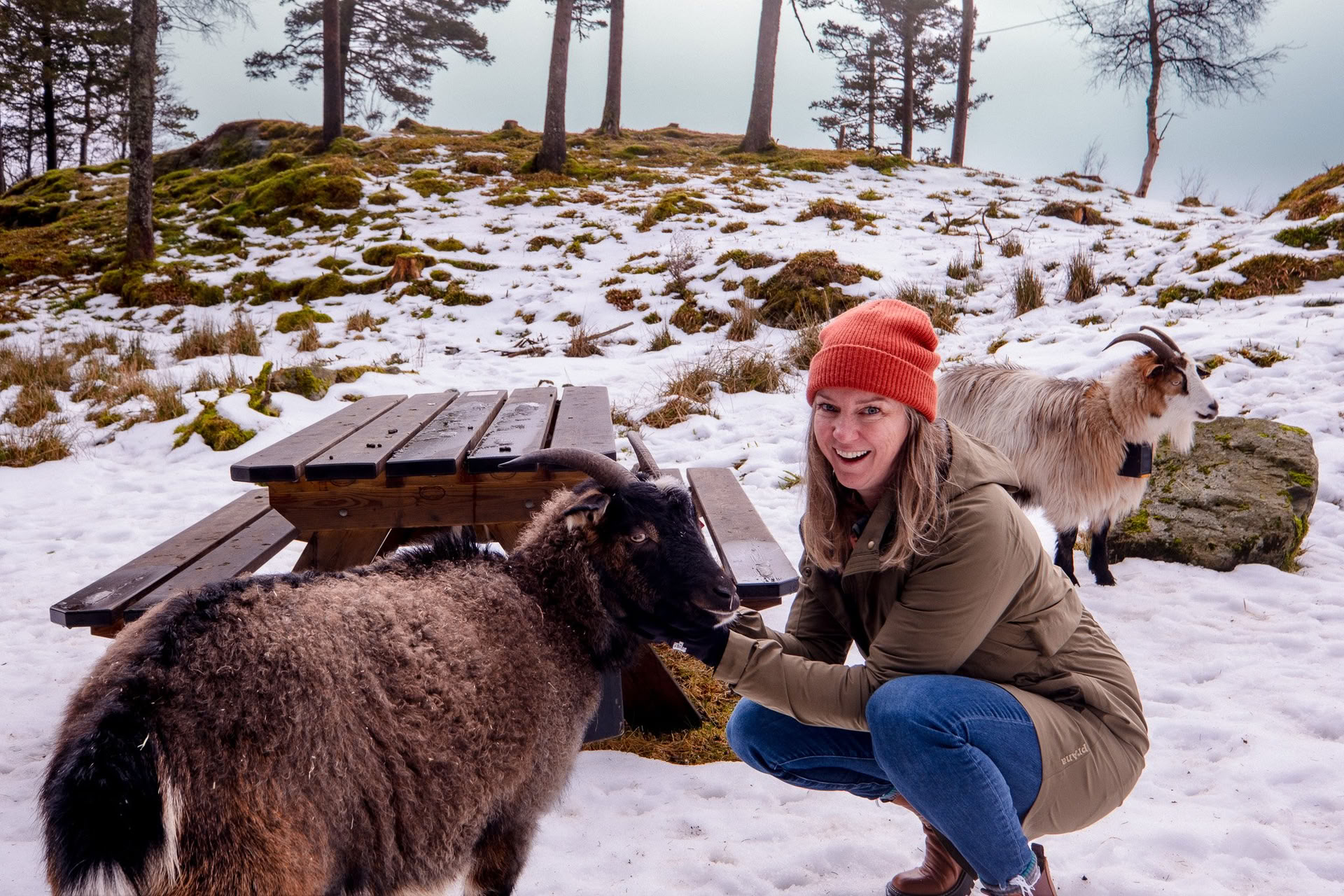 Noruega Yoga & Backpacking