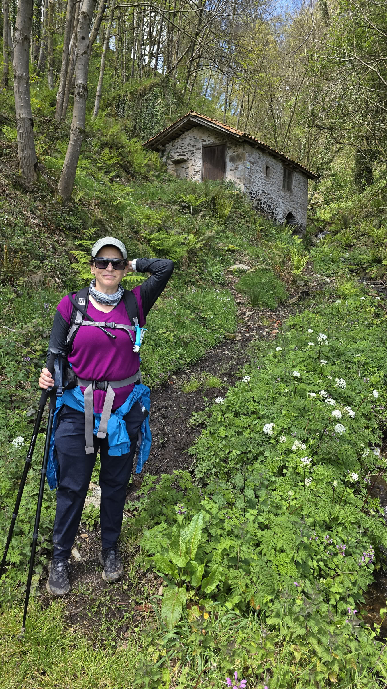 Trekking del Eclipse en el Camino