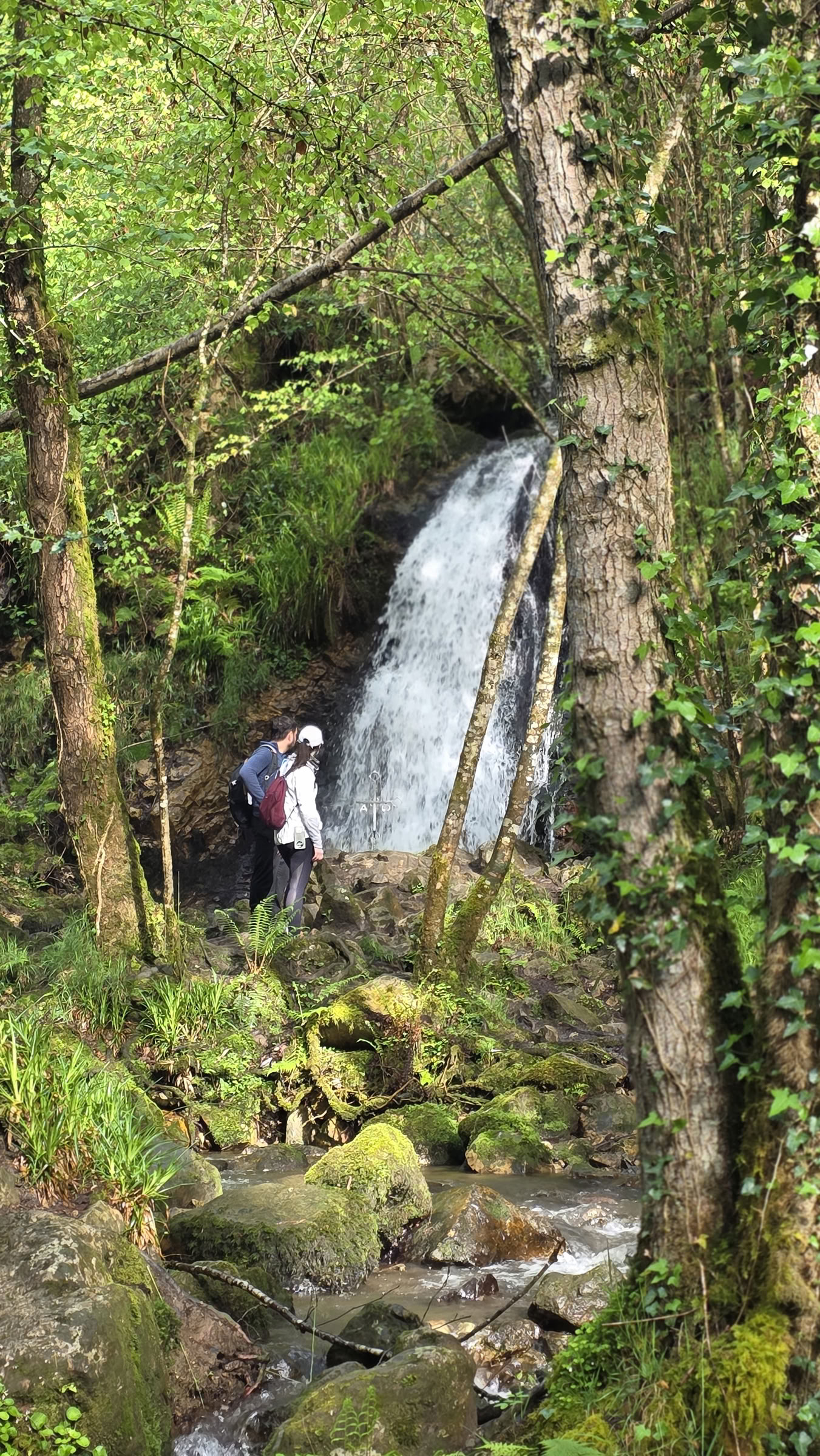 Trekking del Eclipse en el Camino