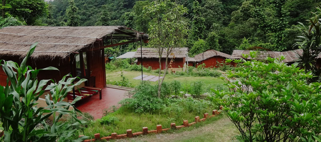 100 Horas de Formación de Profesores de Yoga en Rishikesh