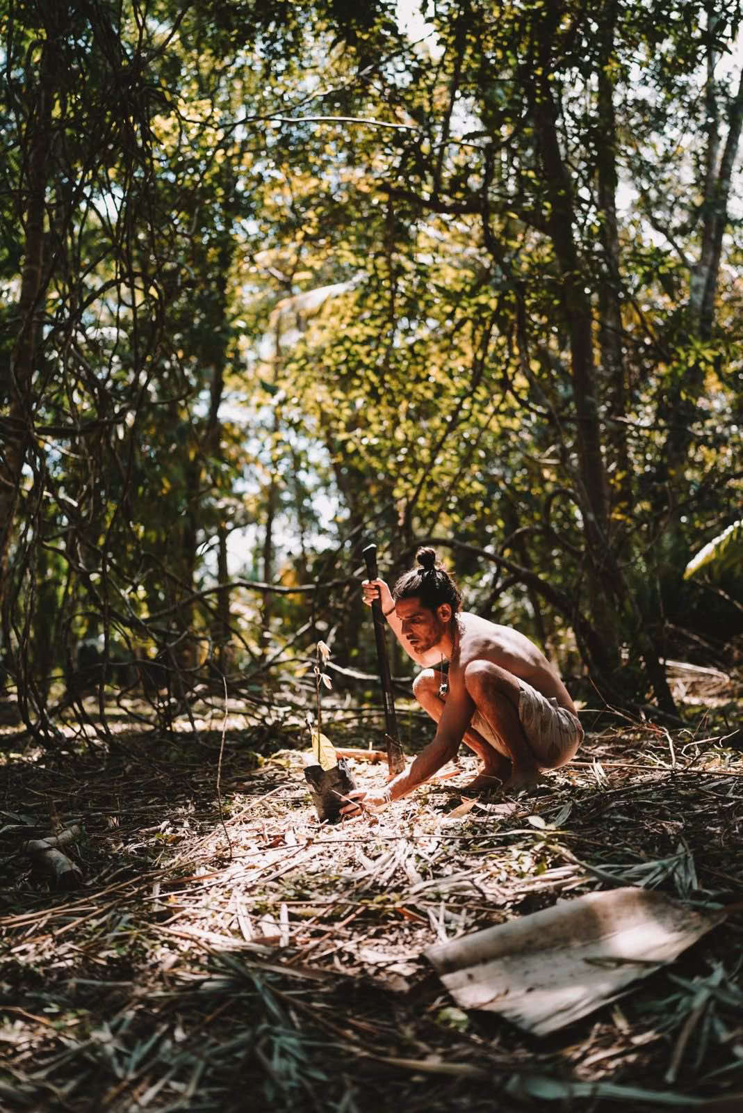 Inmersión en la Jungla Source de Cacao