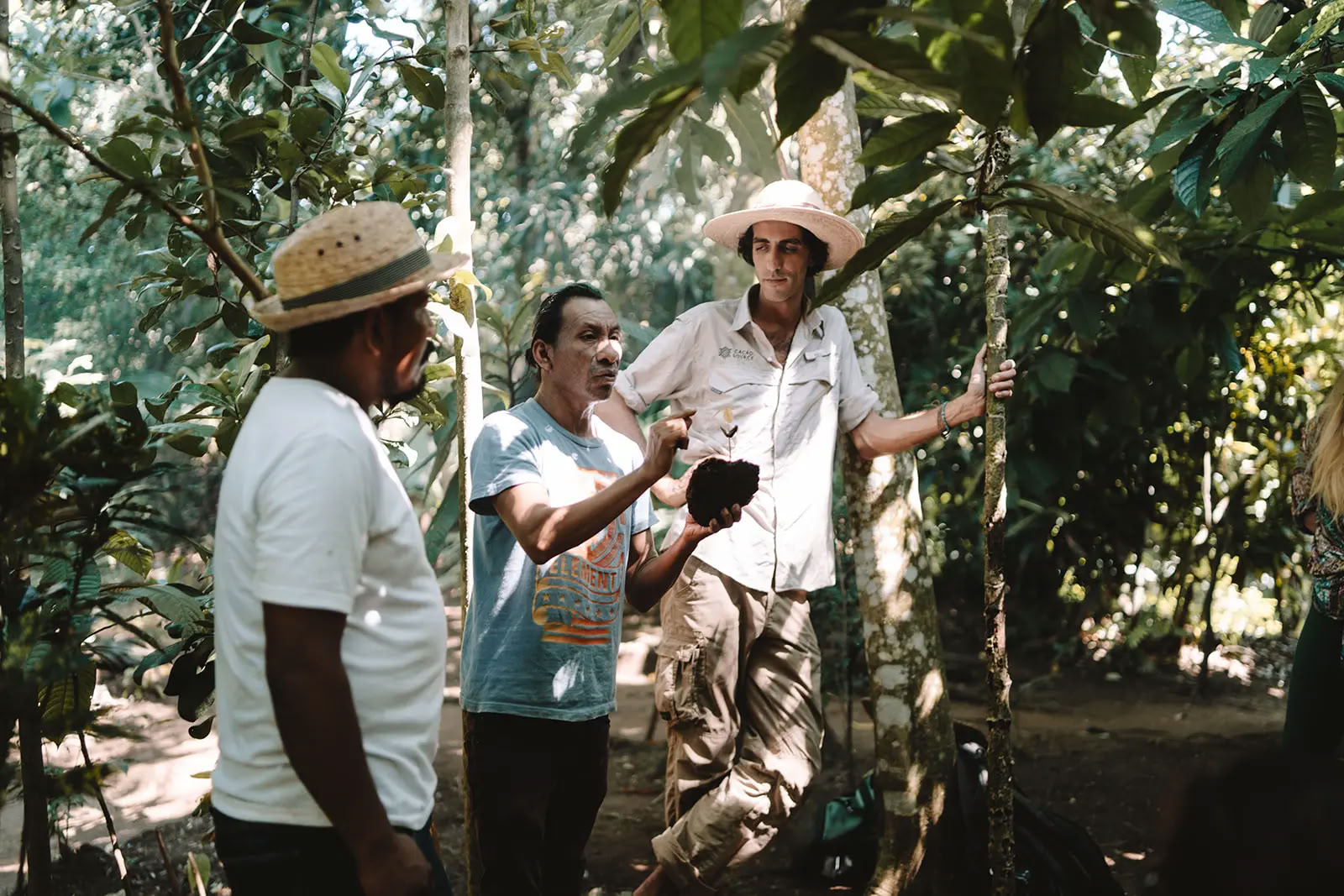 Programa de formación Cacao Source
