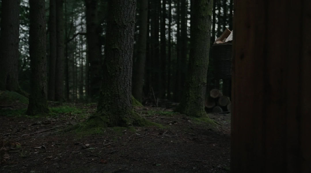 Sesiones de Sauna