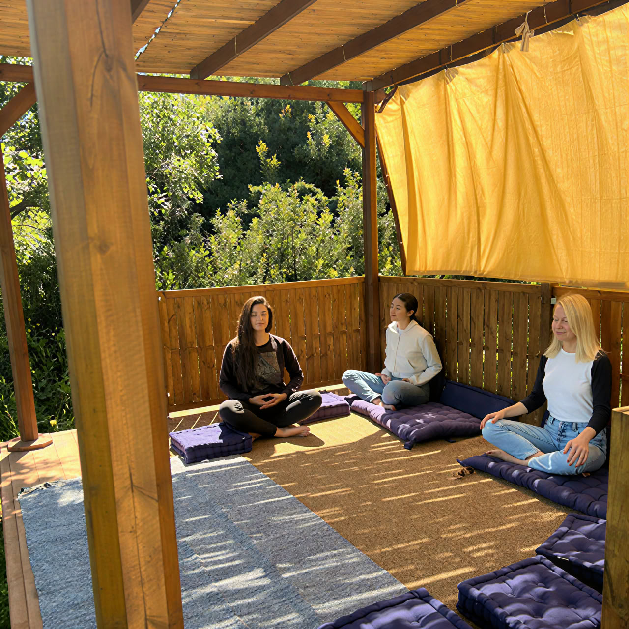 Retiro de Yoga y Cosecha de Olivas