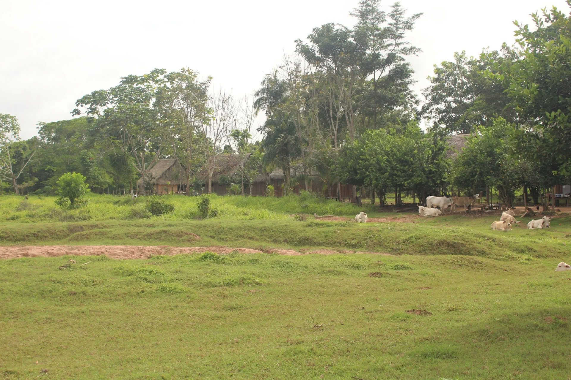 1-Semana Retiro