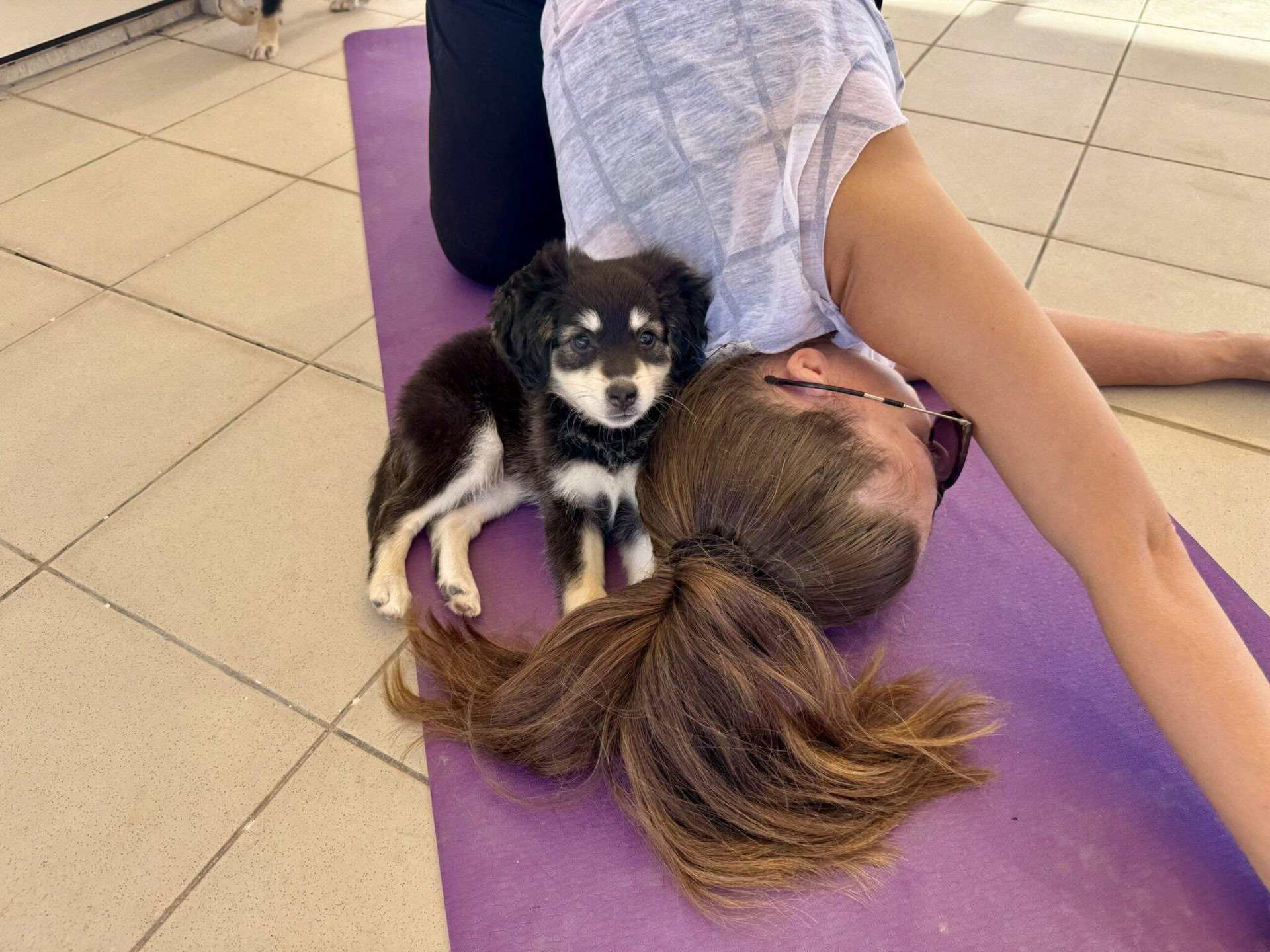 Clase de Yoga con Cachorros