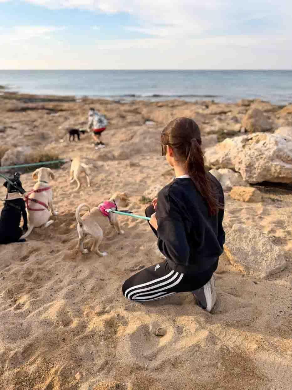 Paseo por la playa para cachorros