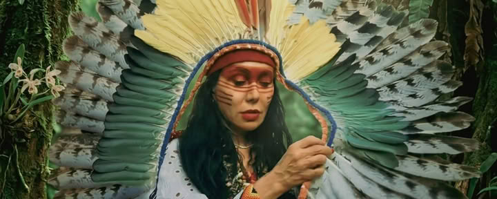 Ceremonias de Ayahuasca