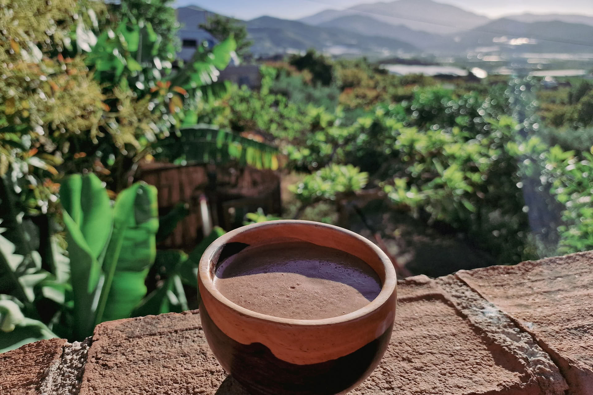 Ceremonias de Cacao