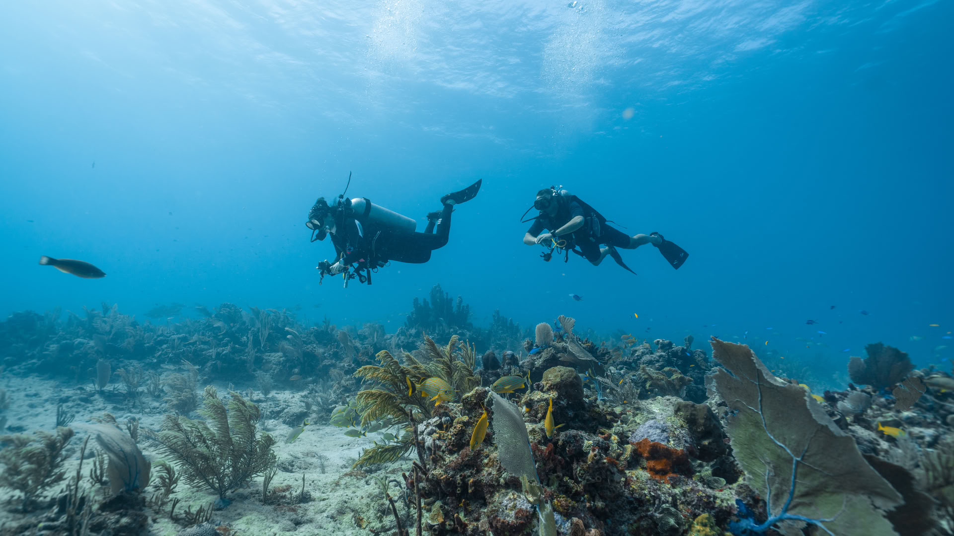 Earthkeepers Retreat: Aprender a vivir en armonía con la Tierra