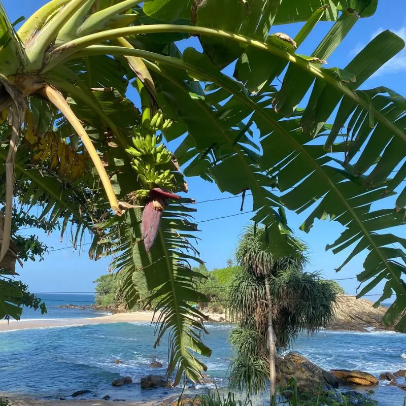 Sri Lanka Retiro – Septiembre 2026