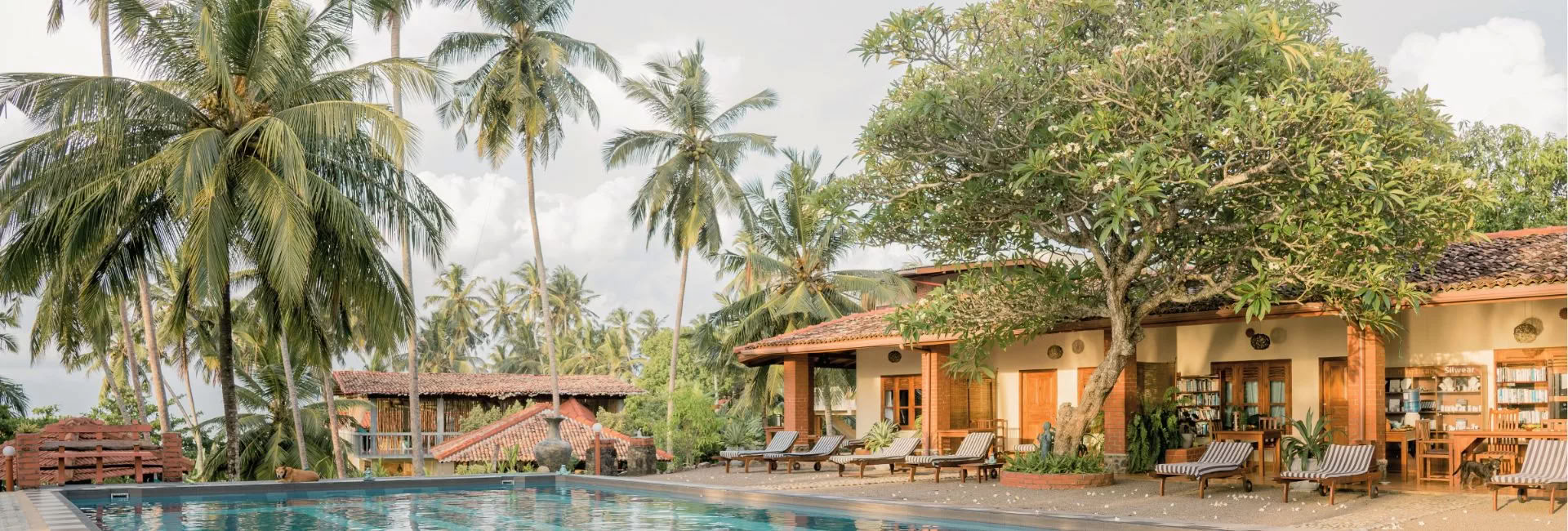Sri Lanka Retiro – Abril 2027