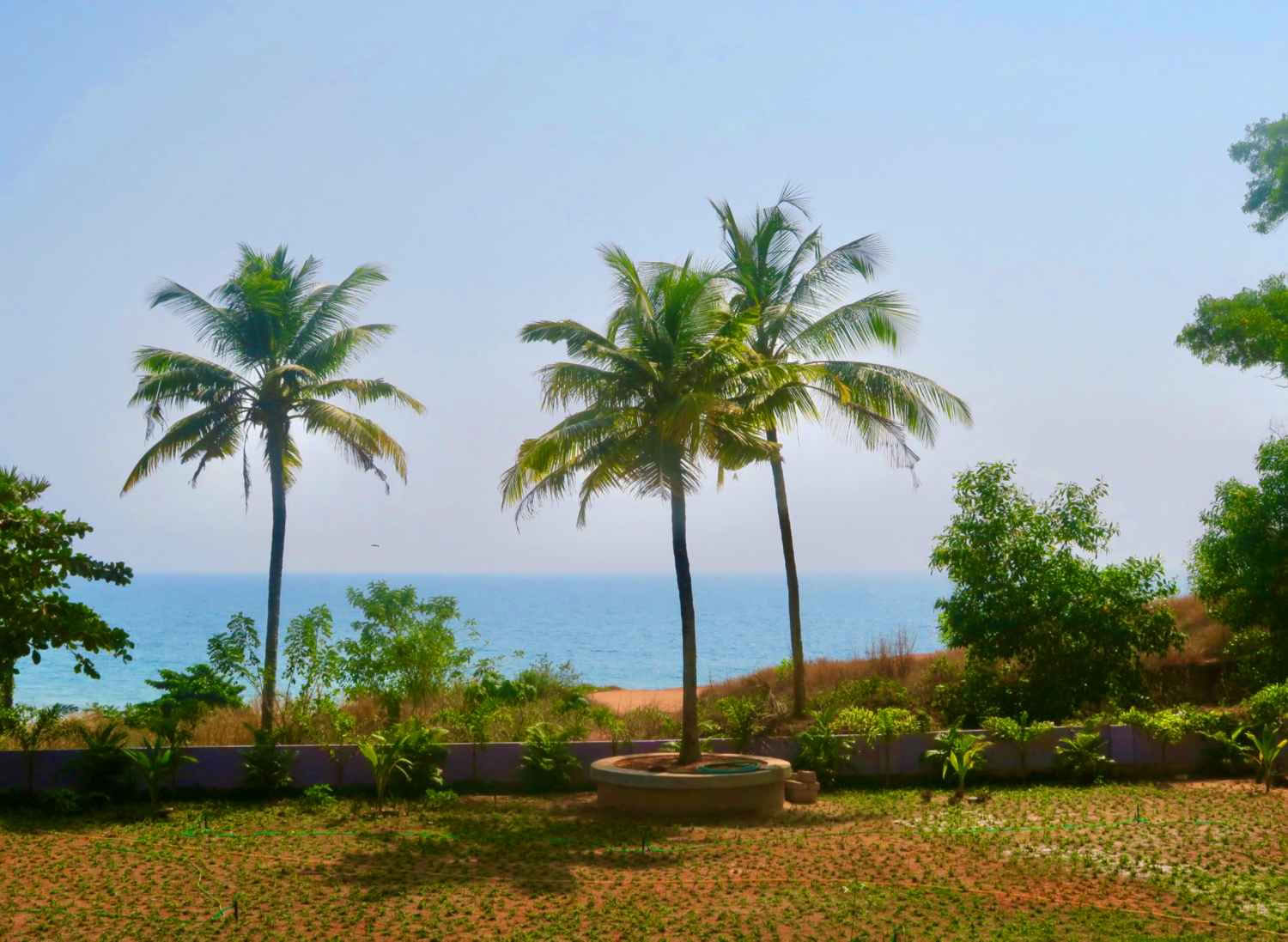 Retiro de Panchakarma y Yoga de 14 días en Varkala, Kerala
