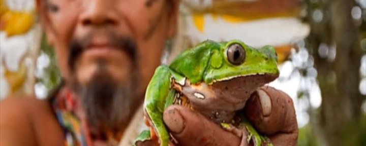 Ceremonia de Kambô
