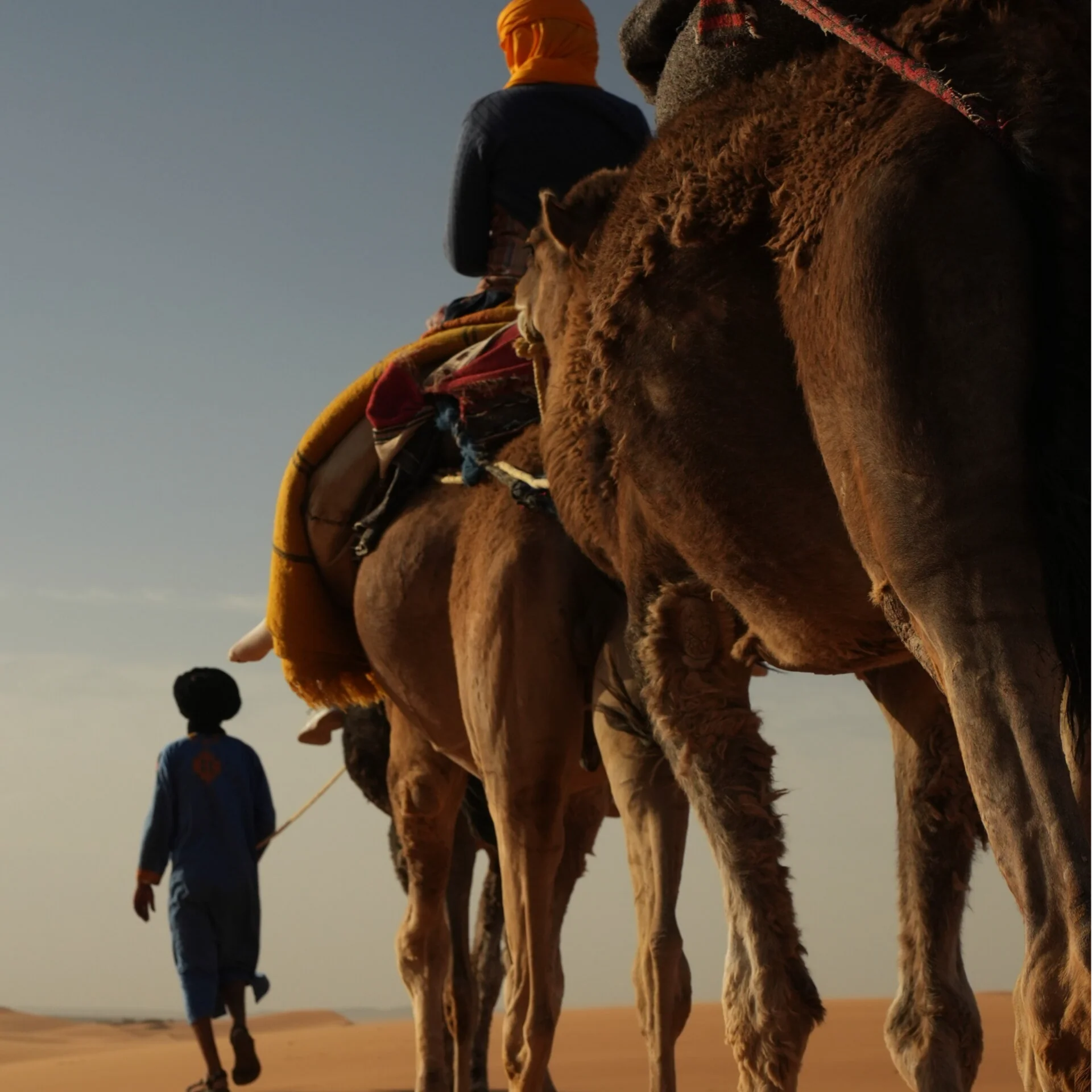 Yoga Caravan – 9 Días desde el Norte de Marruecos hasta las Dunas de Merzouga