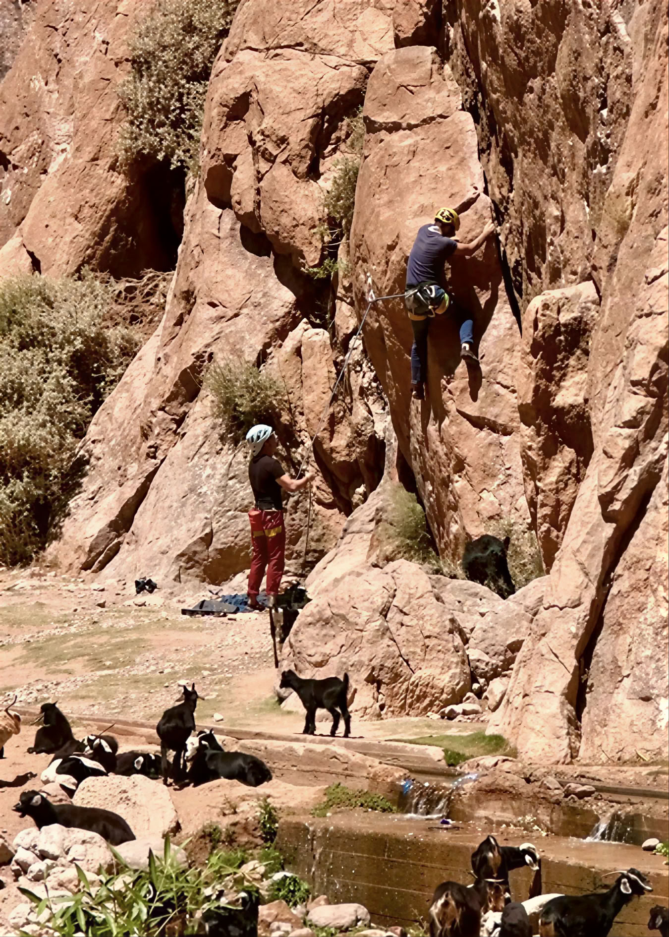 7 Day Return to Your Roots Yoga & Hiking retiro in Imlil (copy)