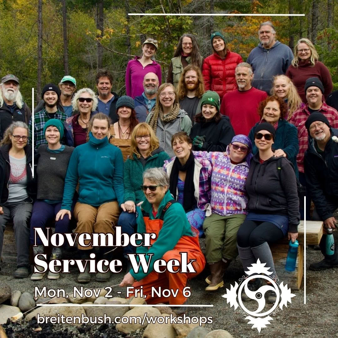 Semana de Servicio de Noviembre