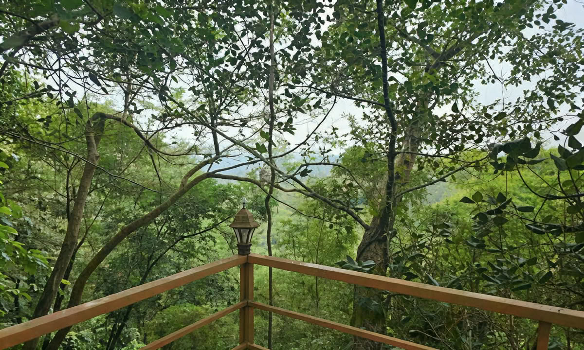 TRATAMIENTO PANCHAKARMA DE 28 DÍAS EN KERALA