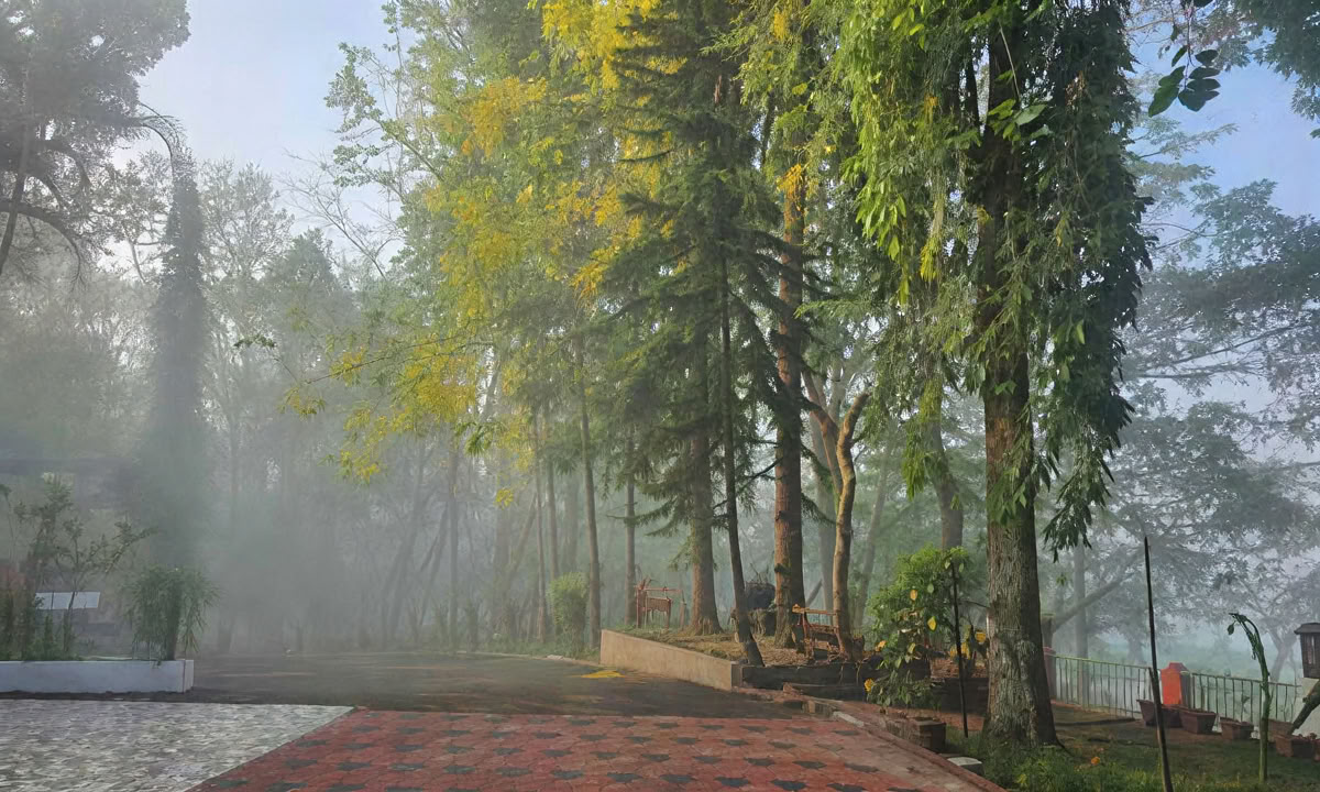 TRATAMIENTO PANCHAKARMA DE 28 DÍAS EN KERALA