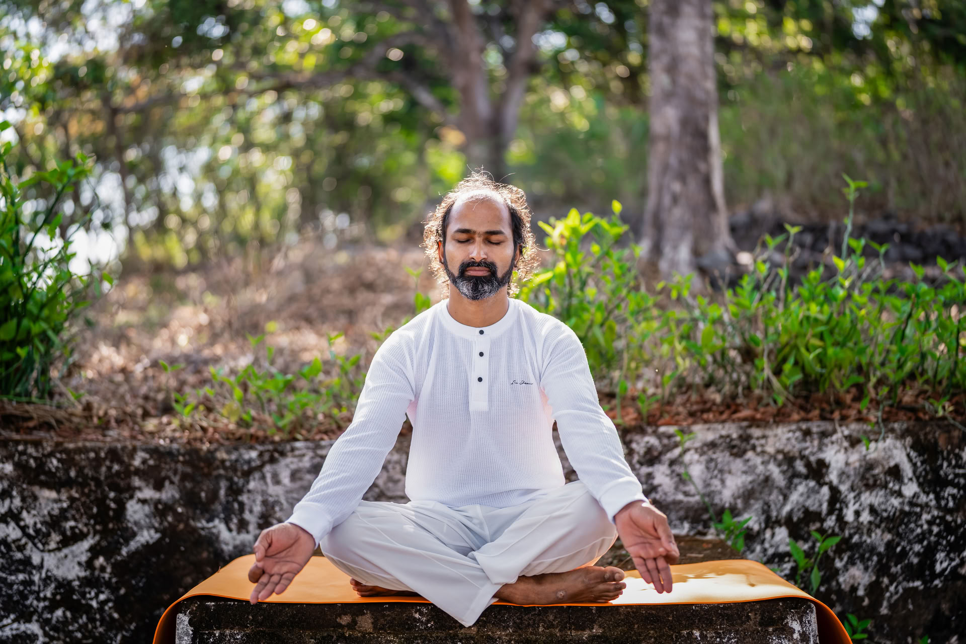 Curso de yoga en Kerala