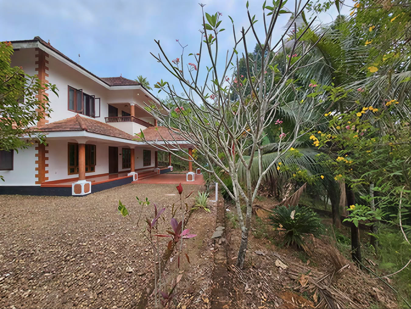 Curso de yoga en Kerala