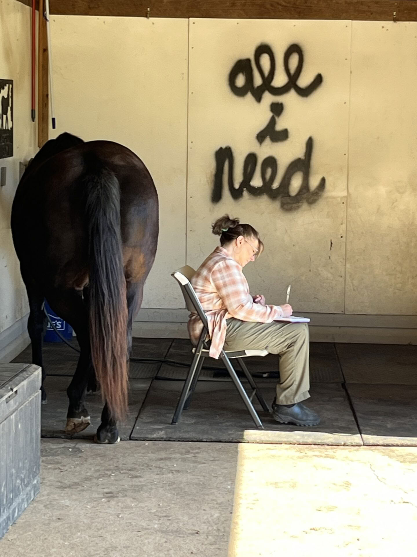 Retiro para participantes recurrentes de 4 días de aprendizaje experiencial de nivel superior para mujeres con caballos
