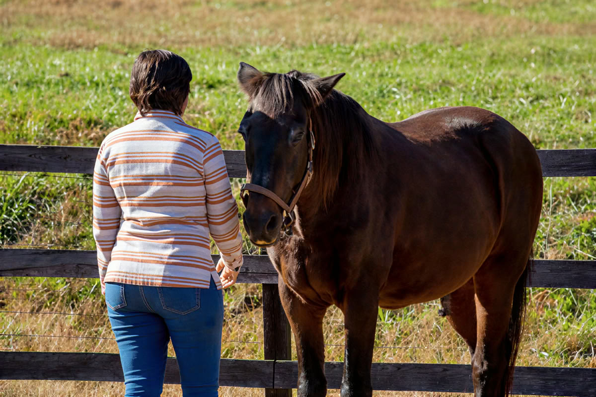 Retiro para participantes recurrentes de 4 días de aprendizaje experiencial de nivel superior para mujeres con caballos