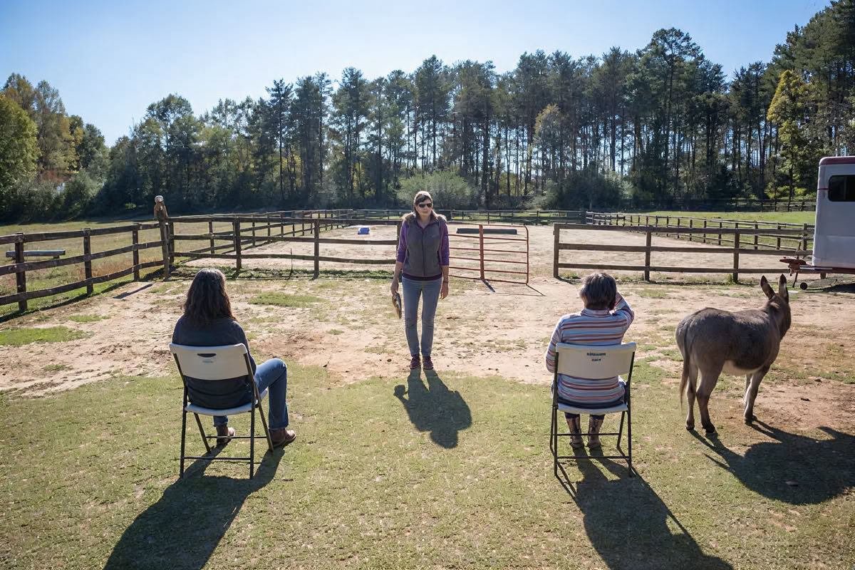Horse Harmony: Un retiro de 3 días para el equilibrio y el bienestar de las mujeres