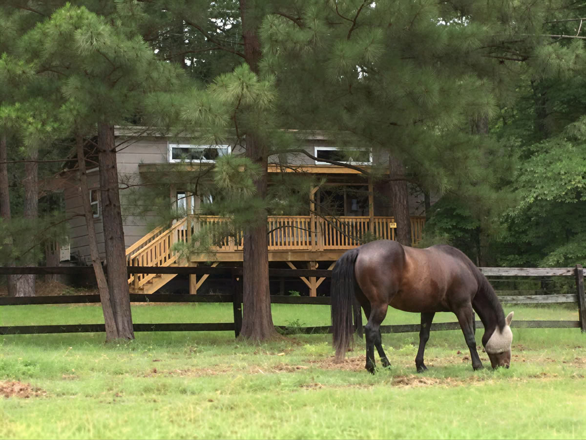 Horse Harmony: Un retiro de 3 días para el equilibrio y el bienestar de las mujeres