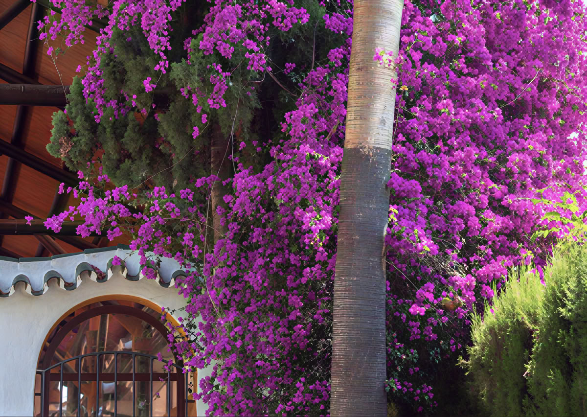 Yoga Retiro with Lisa Robert