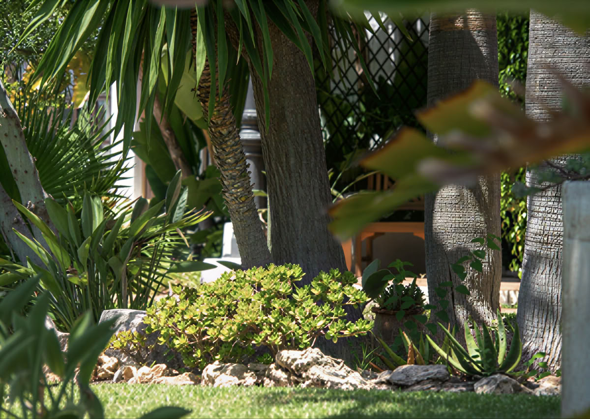Wellness Retiro with Deirdre Fitzpatrick – Better mybody