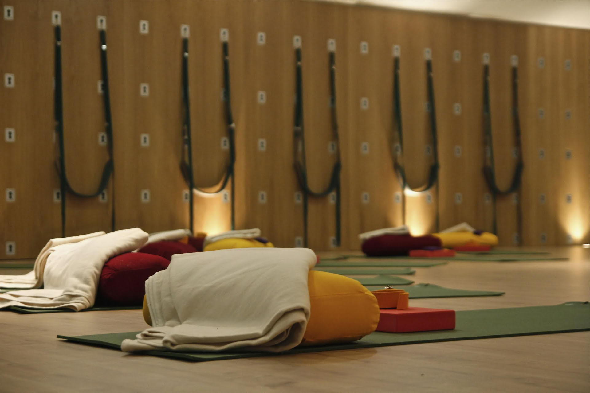 BackCare Foundation Retiro con Anji Gopal
