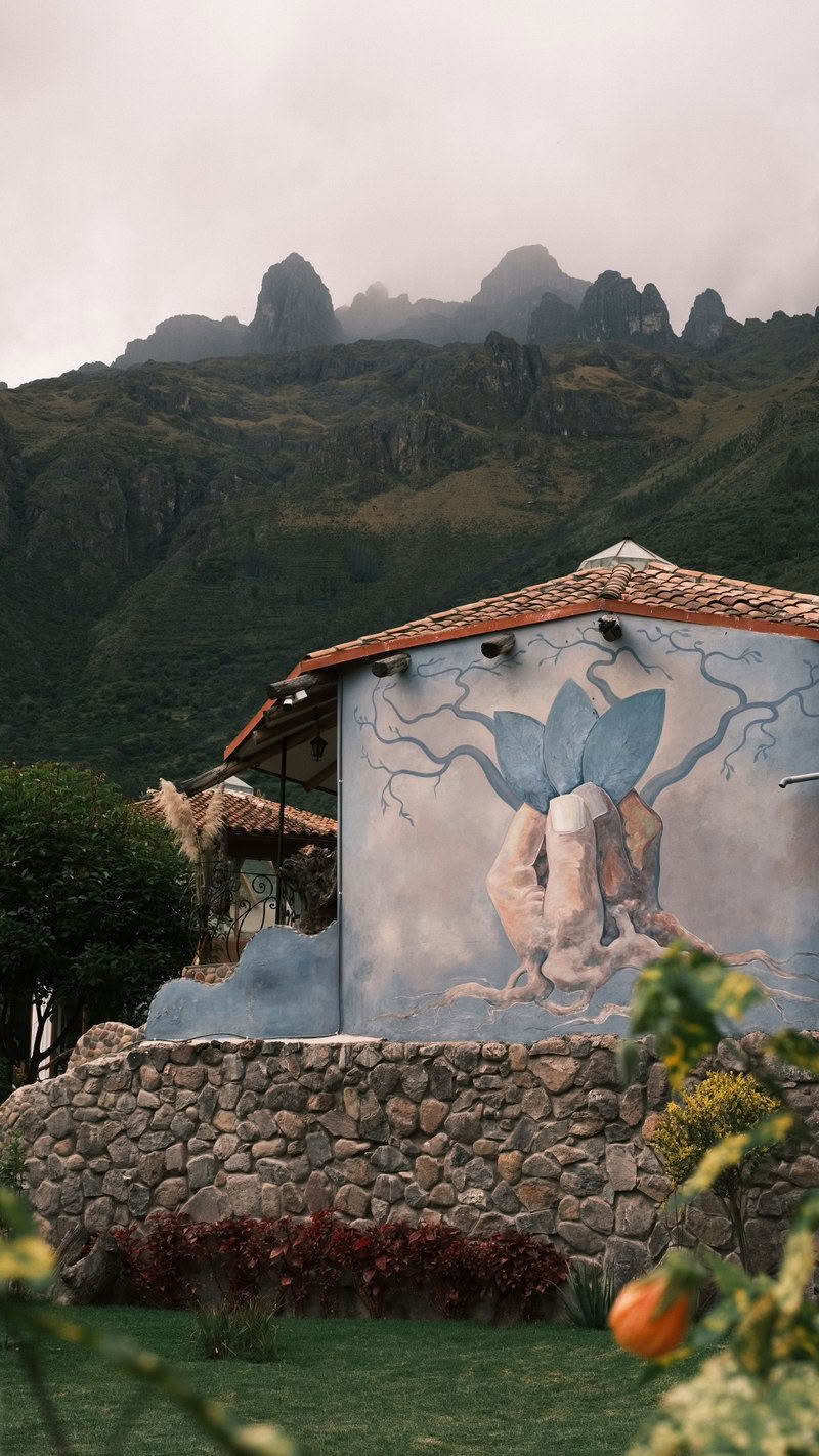 Retiro de Ayahuasca de 9 días