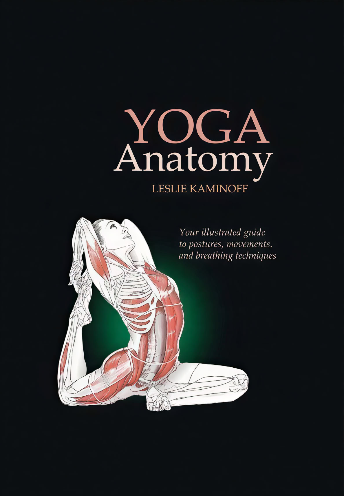 100 Hour Yoga Teacher Training para Principiantes en Rishikesh, India