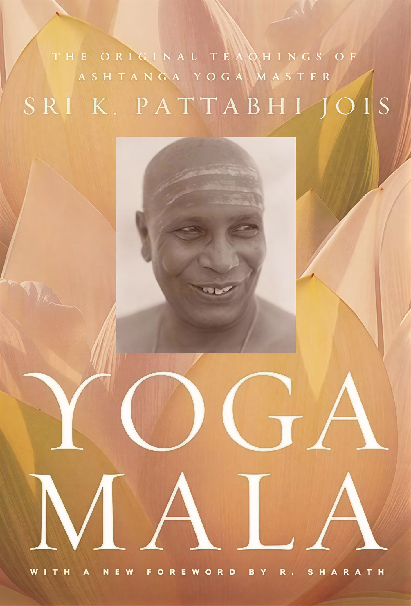 100 Hour Yoga Teacher Training para Principiantes en Rishikesh, India