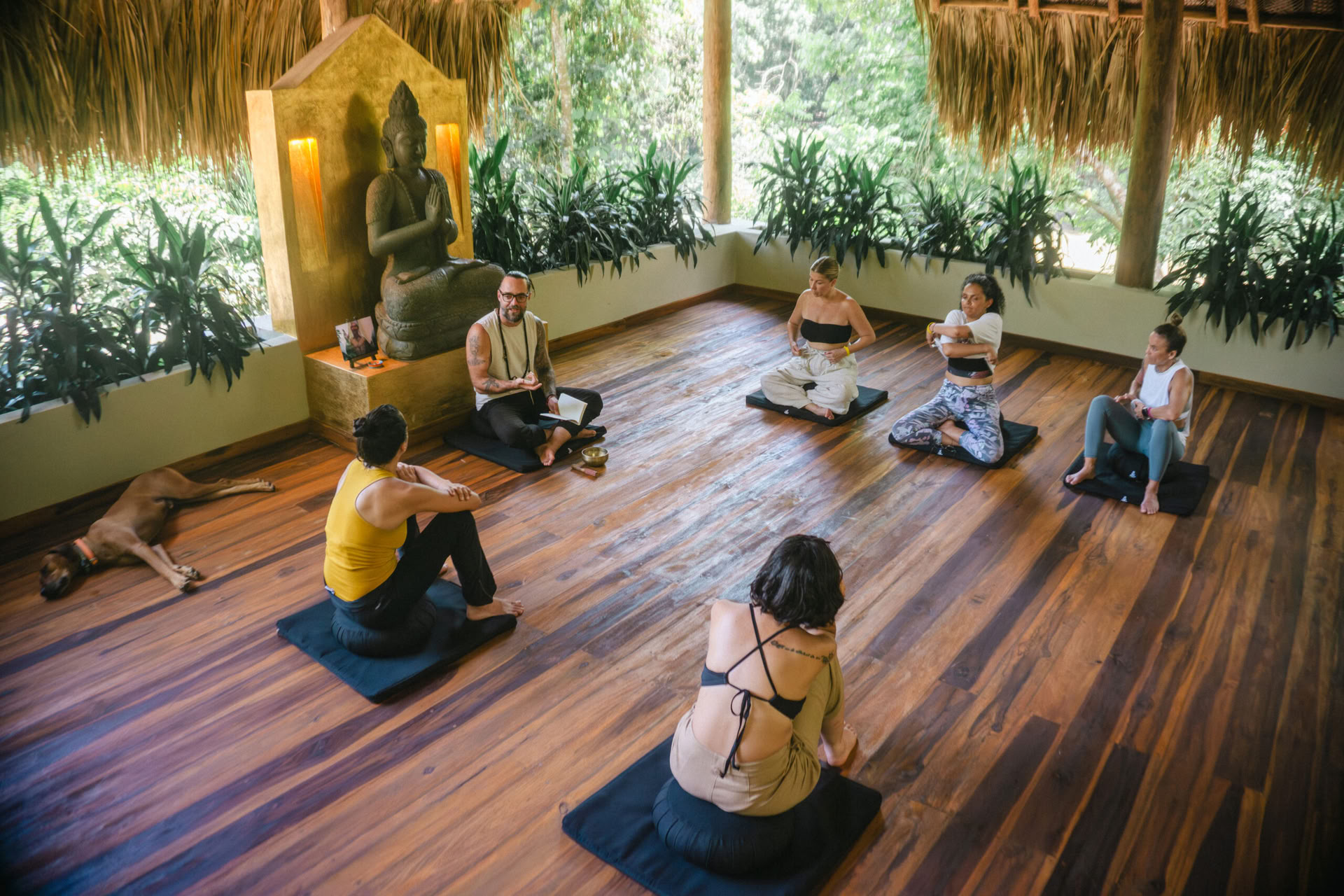 Mindfulness Retiro: Cultiva la calma y la presencia