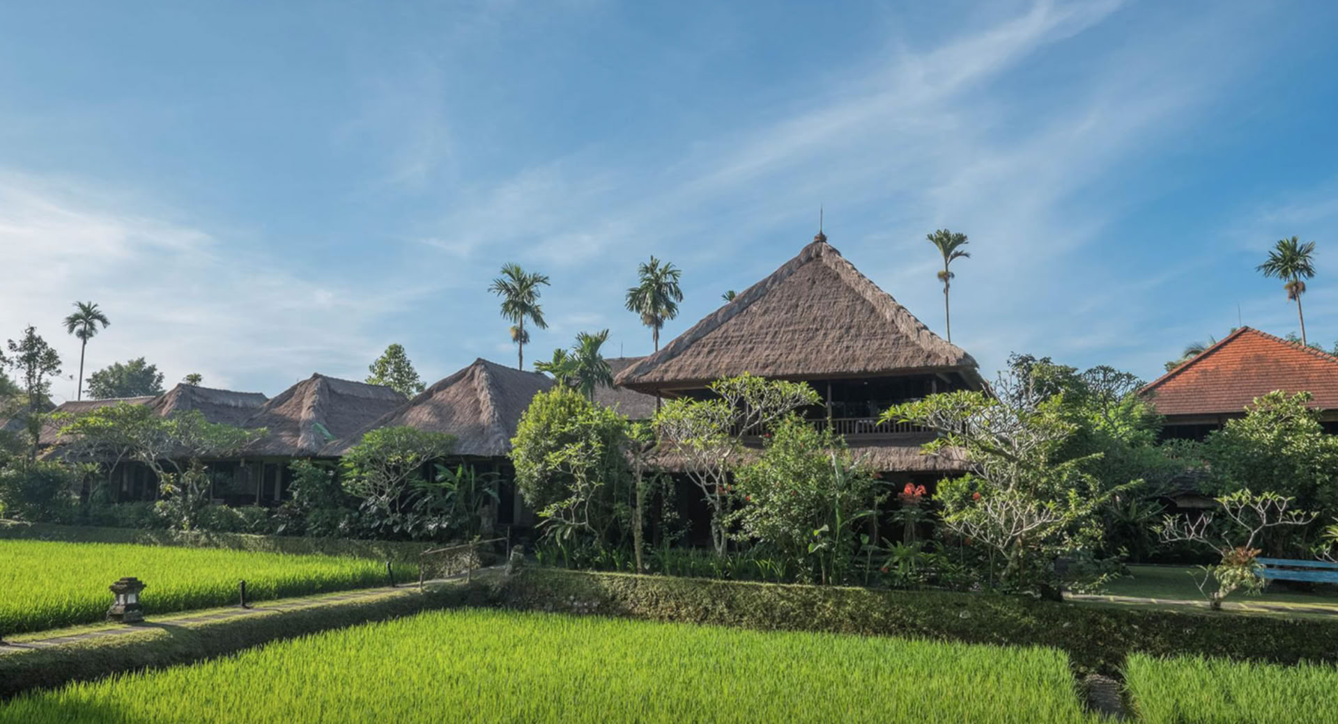 Bliss Out In Bali 2026 Retiro