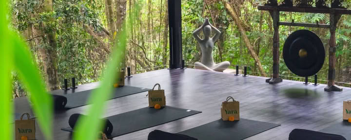 Yoga y Meditación