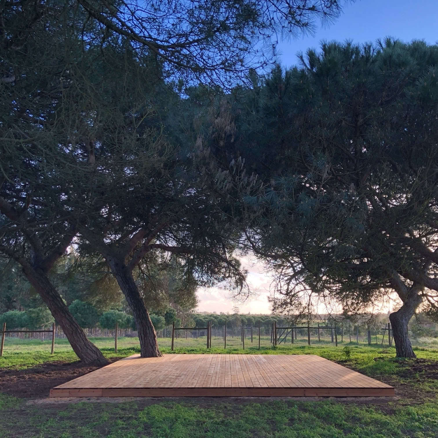 Retiro de Yoga Reconexión en Portugal