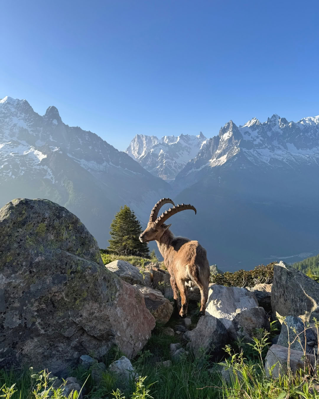 Respira y Conecta en Chamonix
