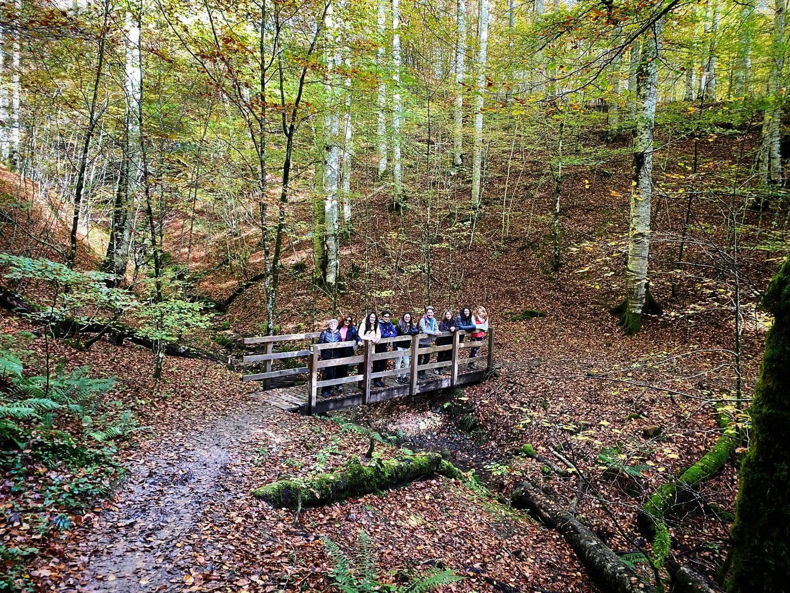 Retiro de yoga de Año Nuevo: un comienzo consciente en los Pirineos